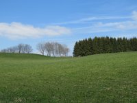 IMG 0226