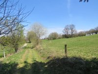 IMG 0233