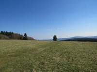 IMG 0248