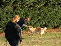 IMG 8724