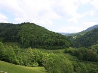 IMG 8425