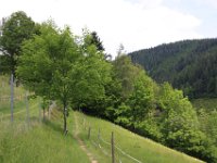 IMG 8426