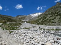 IMG 0811
