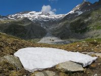 IMG 0833