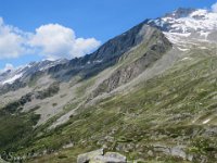 IMG 0855