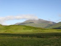 IMG 0767