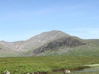 IMG 0818