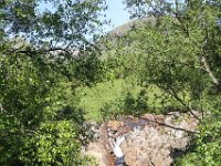 IMG 0837