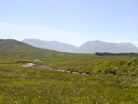 IMG 0840