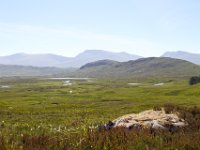 IMG 0852