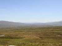 IMG 0866