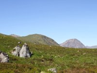 IMG 0875
