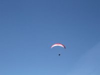 IMG 0889