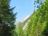 IMG 0943