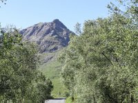 IMG 0944