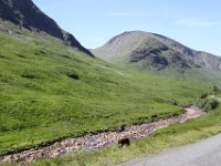 IMG 0954