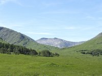 IMG 0981