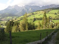 IMG 0012
