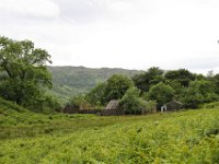 IMG 0494