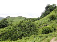 IMG 0496