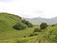 IMG 0501