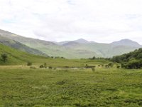 IMG 0502