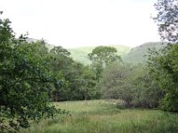 IMG 0517