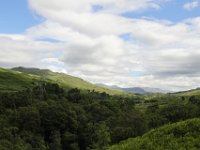 IMG 0530
