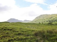 IMG 0542