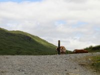 IMG 0549