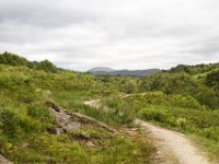 IMG 0562