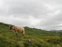 IMG 0568