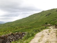 IMG 0573