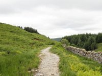 IMG 0582