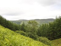 IMG 0586
