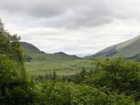 IMG 0587