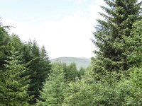 IMG 0598