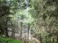 IMG 0600