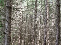 IMG 0602