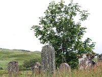 IMG 0615