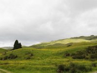 IMG 0618