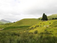 IMG 0621