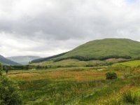 IMG 0623