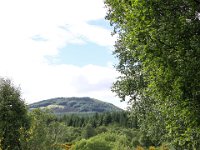 IMG 0634
