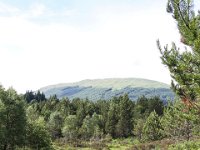 IMG 0647