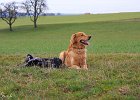 IMG 2057