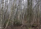 IMG 2058