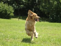 IMG 2214