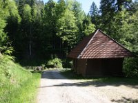 IMG 8584