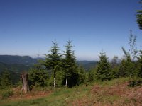 IMG 8593